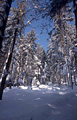 Foto Neve